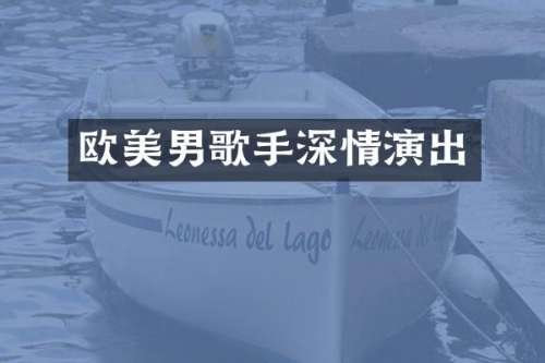 欧美男歌手深情演出
