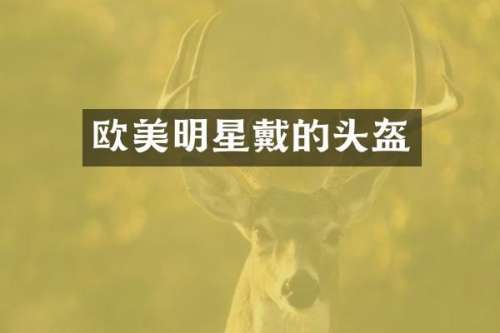欧美明星戴的头盔