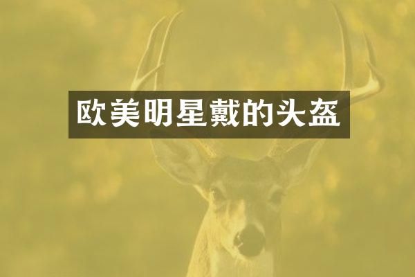 欧美明星戴的头盔