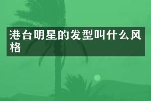 港台明星的发型叫什么风格