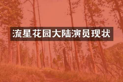 流星花园大陆演员现状