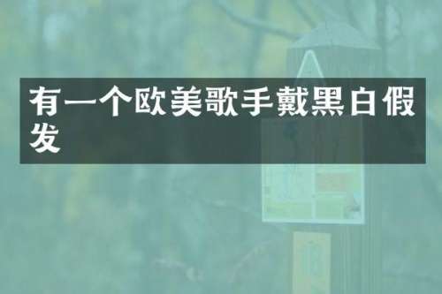 有一个欧美歌手戴黑白假发