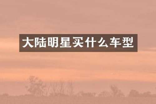 大陆明星车型