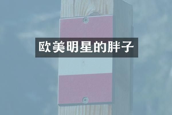 欧美明星的胖子