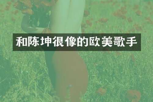 和陈坤很像的欧美歌手