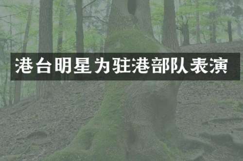 港台明星为驻港部队表演