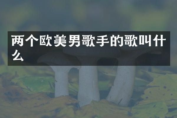 两个欧美男歌手的歌叫什么