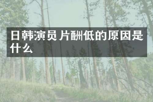 日韩演员片酬低的原因是什么