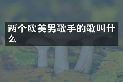 两个欧美男歌手的歌叫什么