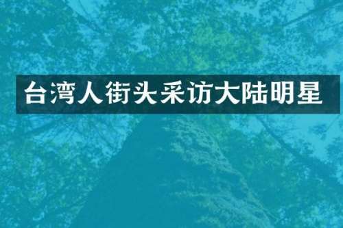台湾人街头采访大陆明星