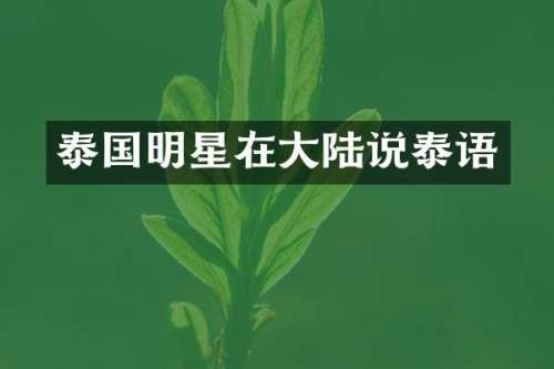 泰国明星在大陆说泰语