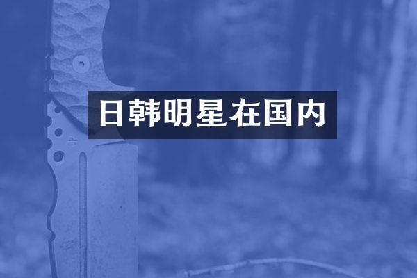 日韩明星在国内