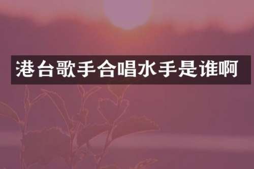 港台歌手合唱水手是谁啊