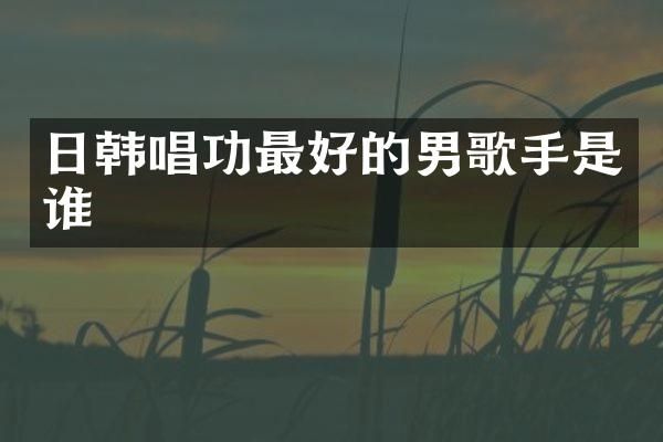 日韩唱功最好的男歌手是谁