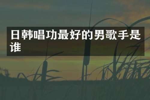 日韩唱功最好的男歌手是谁