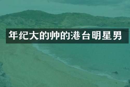 年纪大的帅的港台明星男