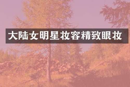 大陆女明星妆容精致眼妆