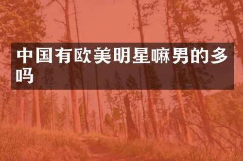 中国有欧美明星嘛男的多吗