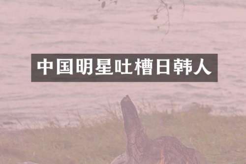 中国明星吐槽日韩人