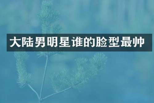 大陆男明星谁的脸型最帅