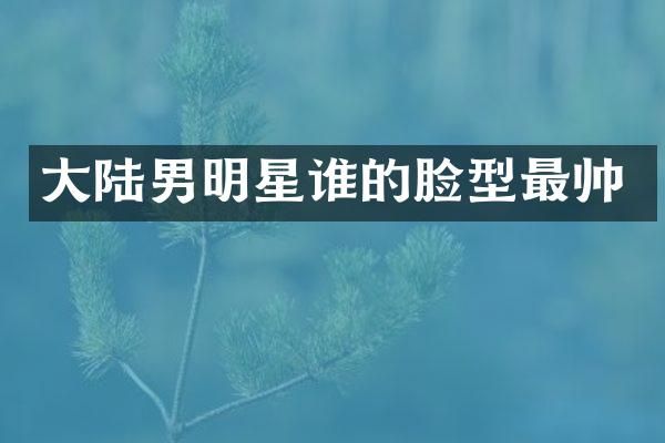 大陆男明星谁的脸型最帅
