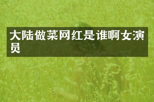 大陆做菜网红是谁啊女演员