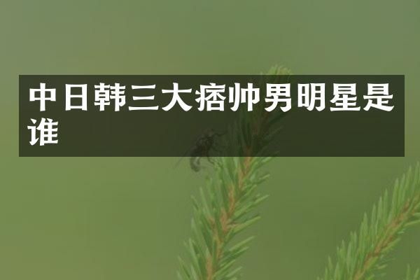 中日韩三大痞帅男明星是谁