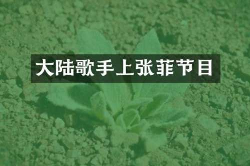 大陆歌手上张菲节目