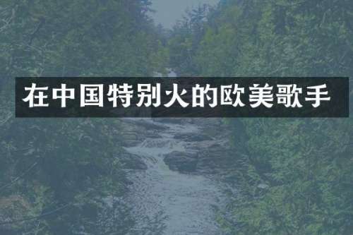 在中国特别火的欧美歌手