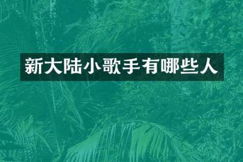 新大陆小歌手有哪些人