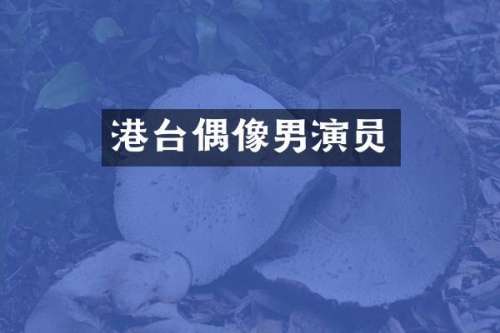 港台偶像男演员