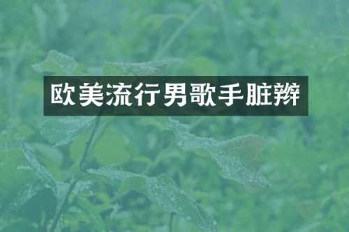 欧美流行男歌手脏辫