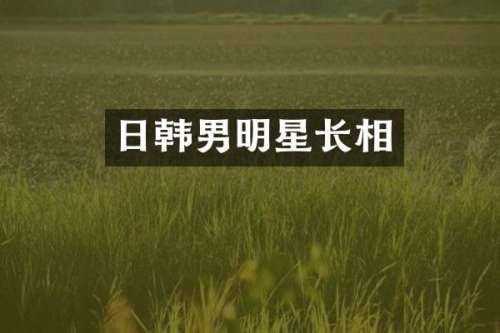 日韩男明星长相