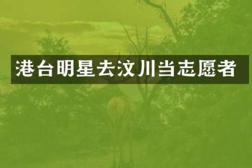 港台明星去汶川当志愿者