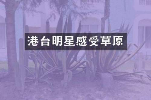 港台明星感受草原