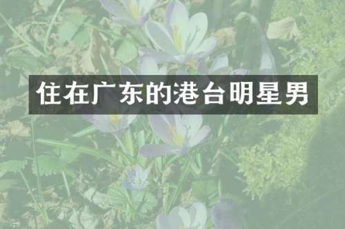 住在广东的港台明星男