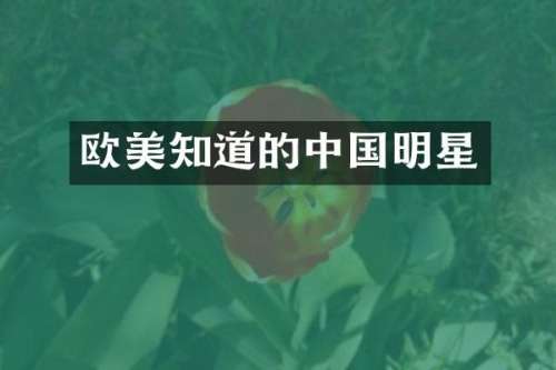 欧美知道的中国明星