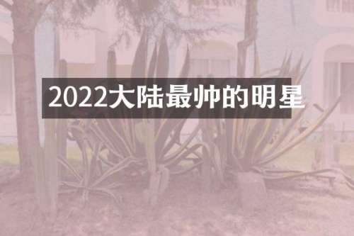 2022大陆最帅的明星
