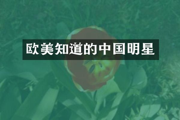 欧美知道的中国明星