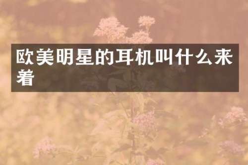 欧美明星的耳机叫什么来着