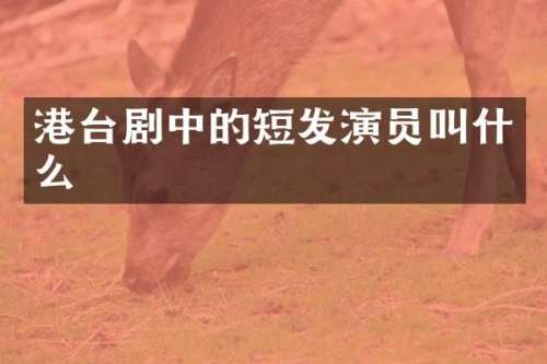 港台剧中的短发演员叫什么