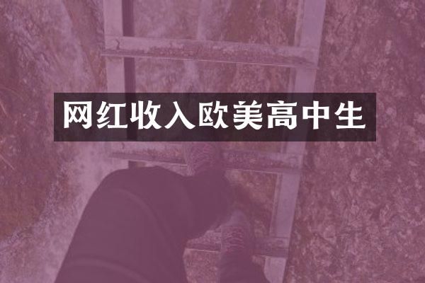 网红收入欧美高中生