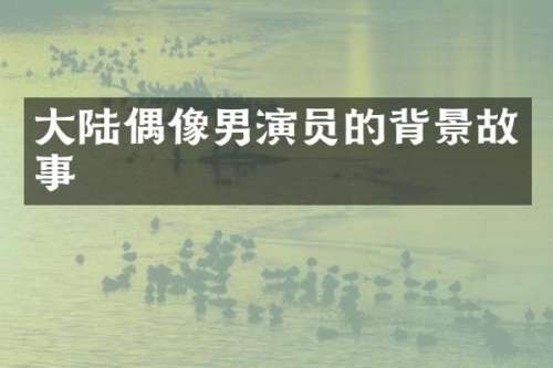 大陆偶像男演员的背景故事