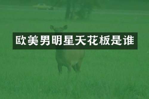 欧美男明星天花板是谁