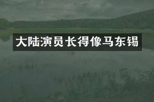 大陆演员长得像马东锡