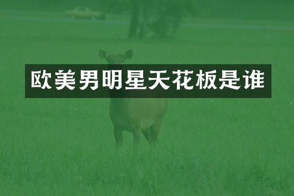 欧美男明星天花板是谁