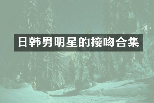 日韩男明星的接吻