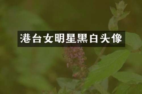 港台女明星黑白头像
