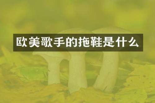 欧美歌手的拖鞋是什么