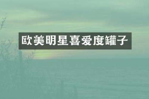 欧美明星喜爱度罐子